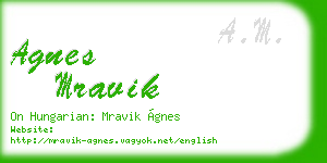 agnes mravik business card